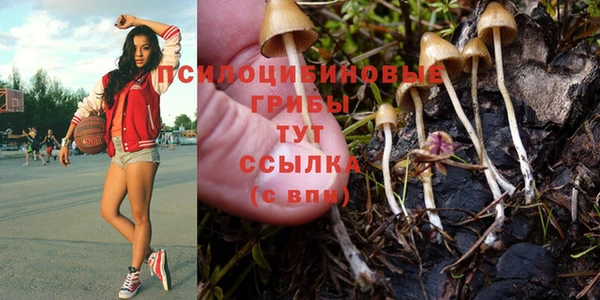 прущая мука Заволжск