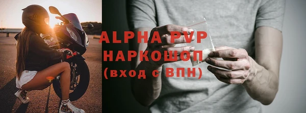 стафф Ельня