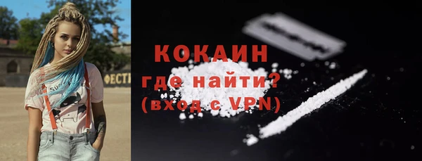 стафф Ельня