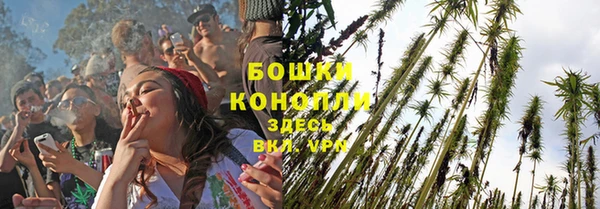 apvp Елабуга