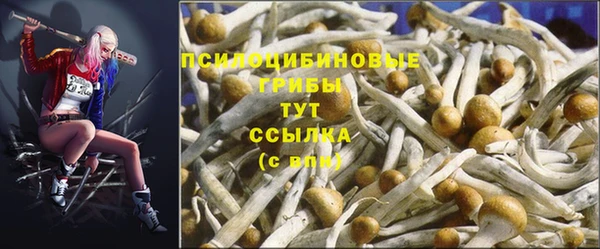 COCAINE Елизово