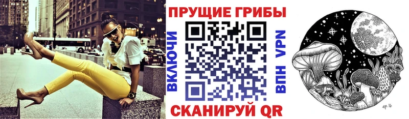 как найти   Альметьевск  Галлюциногенные грибы Cubensis 